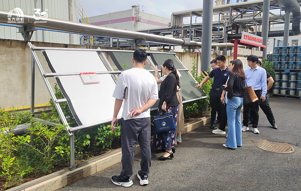 ˳ӯ����-����ƽ̨,ע�ᳩ����Ԫѡ��!