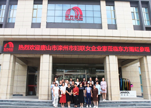 顺盈娱乐-富厚平台,注册畅享多元选择!
